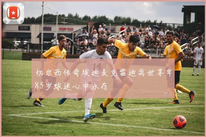 切尔西传奇埃迪麦克雷迪离世享年85岁球迷心中永存