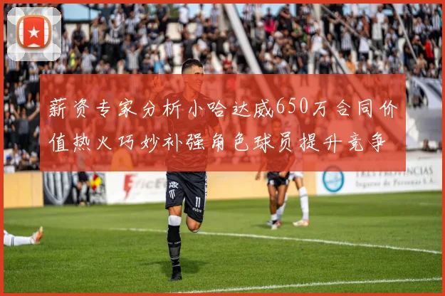 薪资专家分析小哈达威650万合同价值热火巧妙补强角色球员提升竞争力